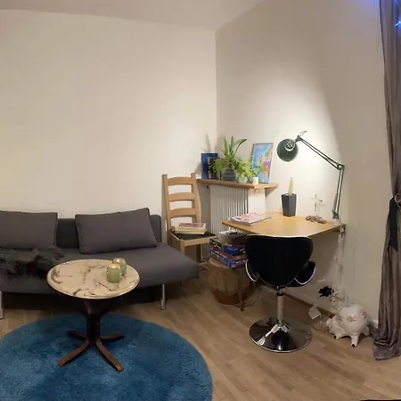 Apartman River View *